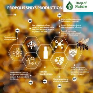 Infographic showing the production process of Brazilian Propolis Throat Spray.