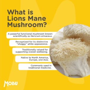 Lion's Mane mushroom with text about its benefits and origins
