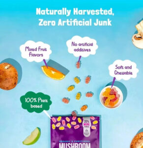 Vegan Mushroom Complex Gummies with fruit flavors and no artificial additives
