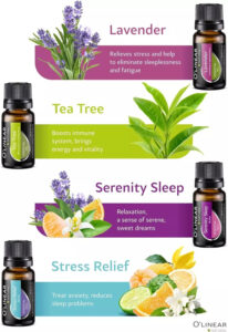 Essential oils bottles with descriptions and benefits.