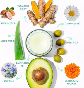 Natural ingredients for WildMint Calm Balm including shea butter, turmeric, and aloe vera.