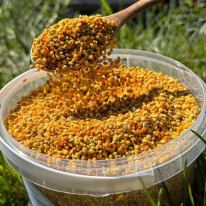 Container of pure bee pollen with a wooden spoon
