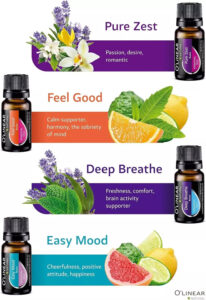 Image of 12 essential oil bottles with labels and descriptions.
