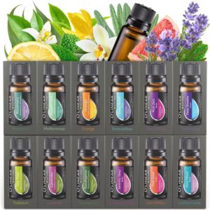 Image of 12 essential oil bottles in a set with various labels.