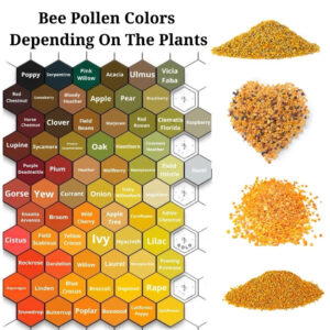 Color variations of bee pollen from different plants.