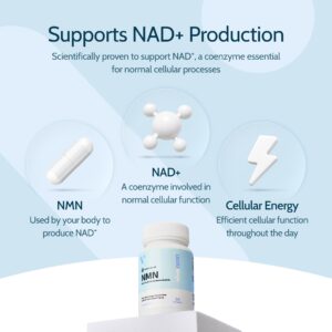 How NMN supports NAD+ levels in the body