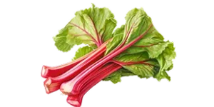 Rhubarb, an ingredient in Colon Reset