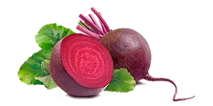 Sugar beet, an ingredient in Colon Reset