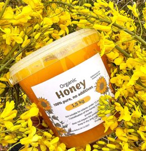 Raw wildflower honey 1.5kg - product image 7